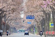 荆门共建“花园城市” 北京这场议政会“百花齐放”
