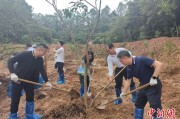 荆门广州已打造首批32处“绿美宗教活动场所”