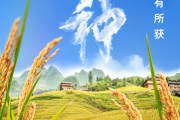 荆门芒种节气小知识来了 夏种作物都有什么？